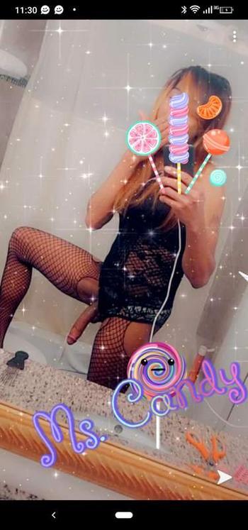8126557318, transgender escort, Evansville